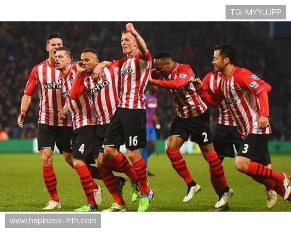 南安普顿俱乐部迎来新赛季关键调整阵容变化引发球迷热议